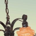 5-Arm Iron Light, w/Rose Shades